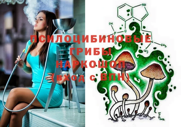 apvp Абинск