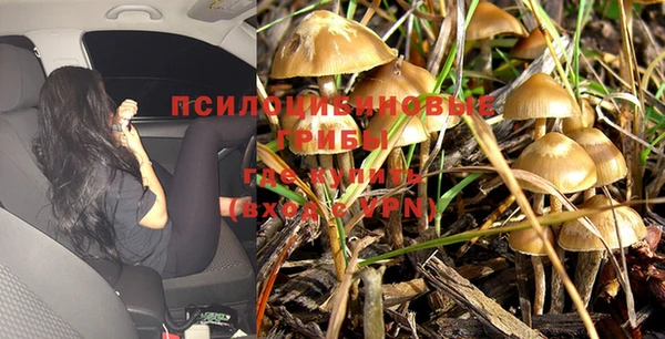 apvp Абинск