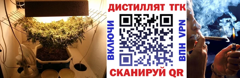 Дистиллят ТГК жижа МЕГА tor Ртищево